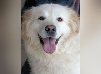 Skilah - Wenn Niemand zu Jemand wird