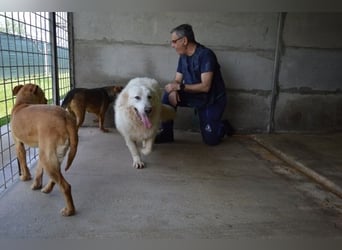 Quebry - Es ist, was es ist...