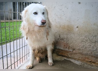 Fredrik - Was nach der Trennung kommt