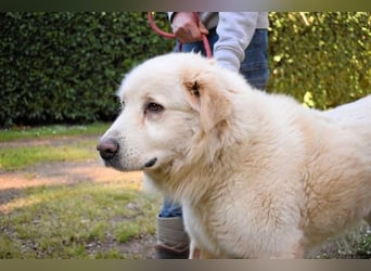 Quilmar - Was werden sie erzählen?