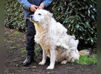Apolonio - möchte für seine Menschen ein Fels in der Brandung sein