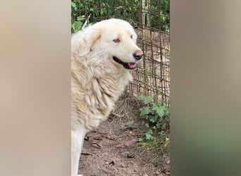 Sindbad - Zwischen Vorsicht und Vertrauen