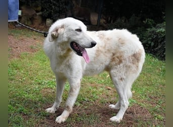 Dayton - niemals ist eine schrecklich lange Zeit