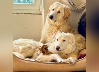 Stardust - Von der Erde zum Mond und zurück....