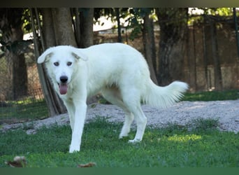 Madea - in ihrer ganzen Schönheit