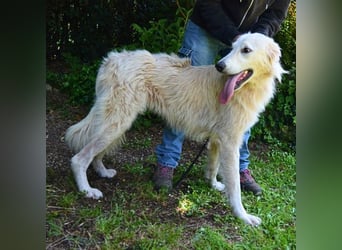 Isana - Wo ist mein neues Leben?