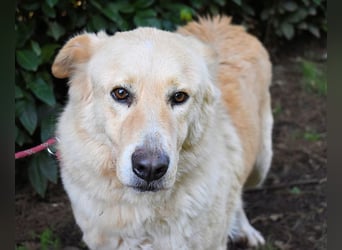 Antiloco - Nur ein Wunsch: endlich nach Hause!