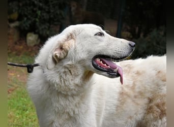 Dayton - niemals ist eine schrecklich lange Zeit