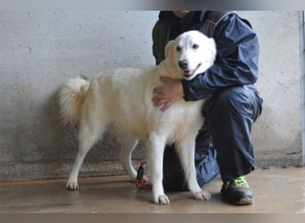 Meriwa - Doch nur wieder ein Kurzbesuch.....