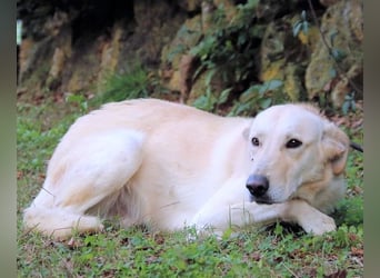 Yannick - eine zweite Kindheit?