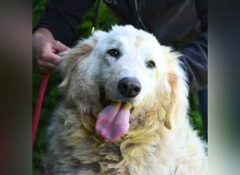 Filomela - Vom Sorgenkind zum Sonnenschein