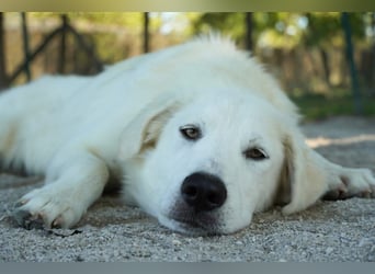 Madea - in ihrer ganzen Schönheit