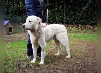 Apolonio - möchte für seine Menschen ein Fels in der Brandung sein
