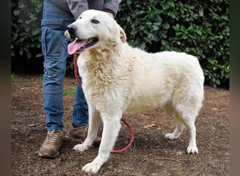 Dayton - niemals ist eine schrecklich lange Zeit