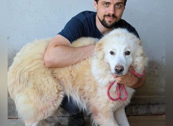 Olivielle- Junge Dame im Bärenmantel