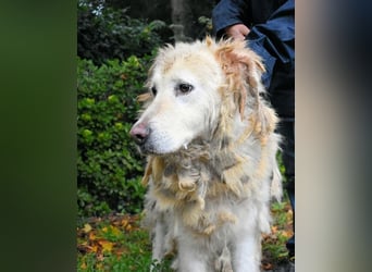 Akamu - Sucht seinen passenden Deckel