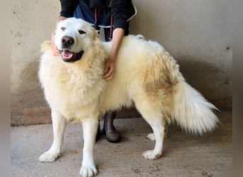 Leverett - Ich sehe was, was du (noch) nicht siehst!