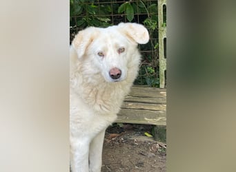 Sindbad - Zwischen Vorsicht und Vertrauen