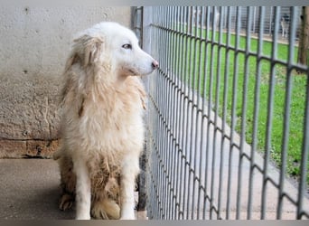 Fredrik - Was nach der Trennung kommt