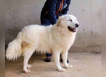 Leverett - Ich sehe was, was du (noch) nicht siehst!