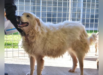 Albertone - Alles, alles Gute!!!