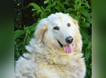 Filomela - Vom Sorgenkind zum Sonnenschein