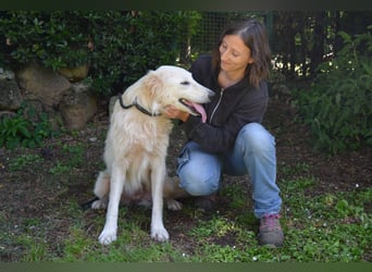 Isana - Wo ist mein neues Leben?