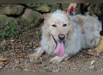 Paolo - Oh, huch, wow!!!