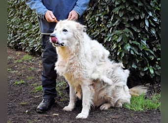 Apolonio - möchte für seine Menschen ein Fels in der Brandung sein