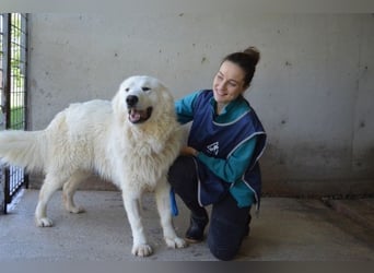 Leverett - Ich sehe was, was du (noch) nicht siehst!