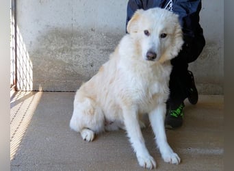 Olivielle- Junge Dame im Bärenmantel