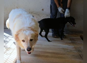 Skilah - Wenn Niemand zu Jemand wird