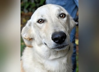 Yannick - eine zweite Kindheit?