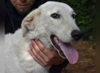 Damarius - niemals ist eine schrecklich lange Zeit