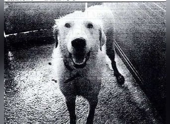 Makeen - es ist die Ohnmacht.....