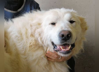 Leverett - Ich sehe was, was du (noch) nicht siehst!