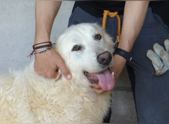 Quebry - Es ist, was es ist...