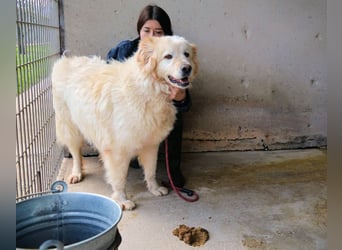 Skilah - Wenn Niemand zu Jemand wird
