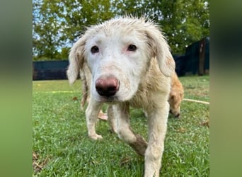 Stardust - Von der Erde zum Mond und zurück....