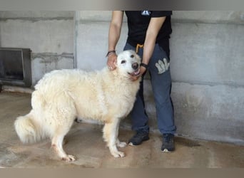 Quebry - Es ist, was es ist...