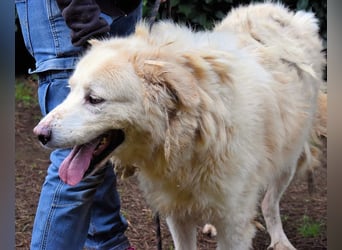 Eluard - Hoffnung auf echte Freundschaft!