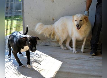 Skilah - Wenn Niemand zu Jemand wird