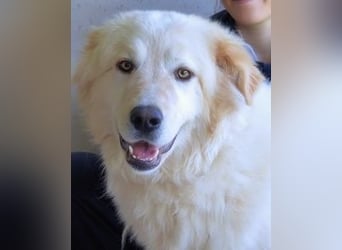 Skilah - Wenn Niemand zu Jemand wird