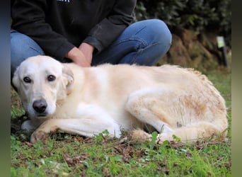 Yannick - eine zweite Kindheit?