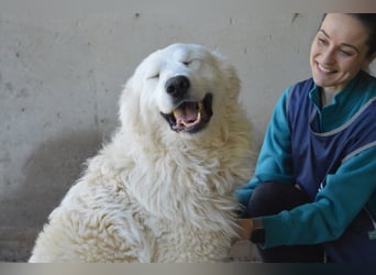 Leverett - Ich sehe was, was du (noch) nicht siehst!