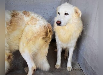 Fredrik - Was nach der Trennung kommt