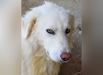 Fredrik - Für immer zusammen?