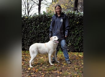 Yasmine - freundlicher Sonnenschein sucht sonniges Plätzchen