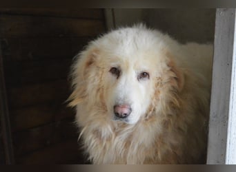 Atheron - Das Ehemaligentreffen