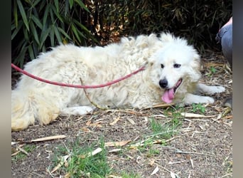 Archimede - sucht freundliche Aufnahme